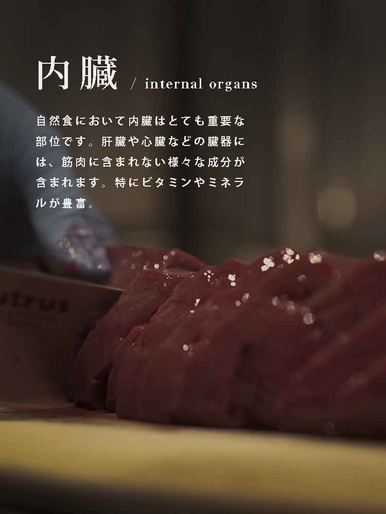犬の食事 自然食ウルス 内臓