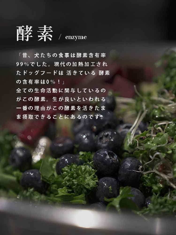 犬の食事 自然食ウルス 酵素