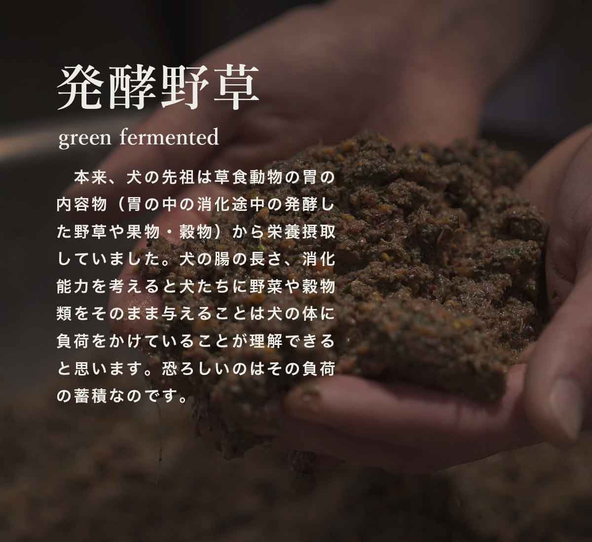 犬の自然食ウルス 内臓
