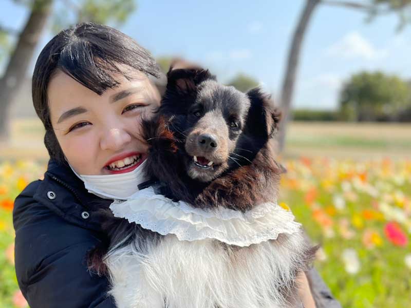犬の食事（生食）ドッグフード22