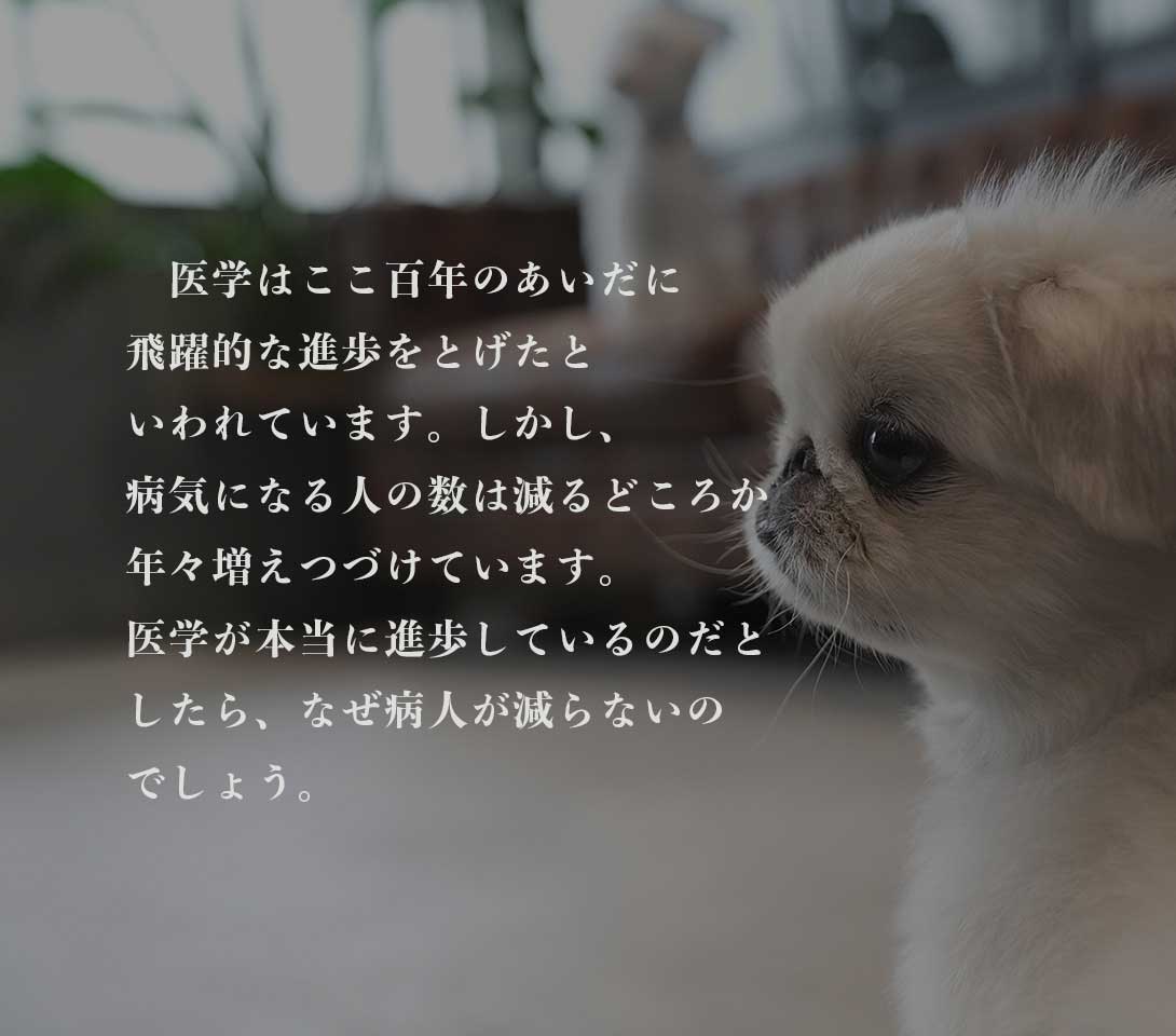 発酵野草ドッグフードウルス