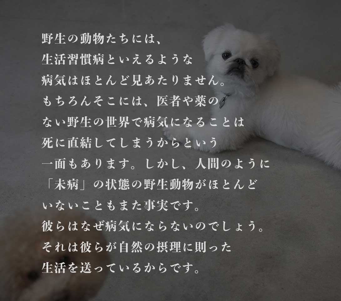 発酵野草ドッグフードウルス