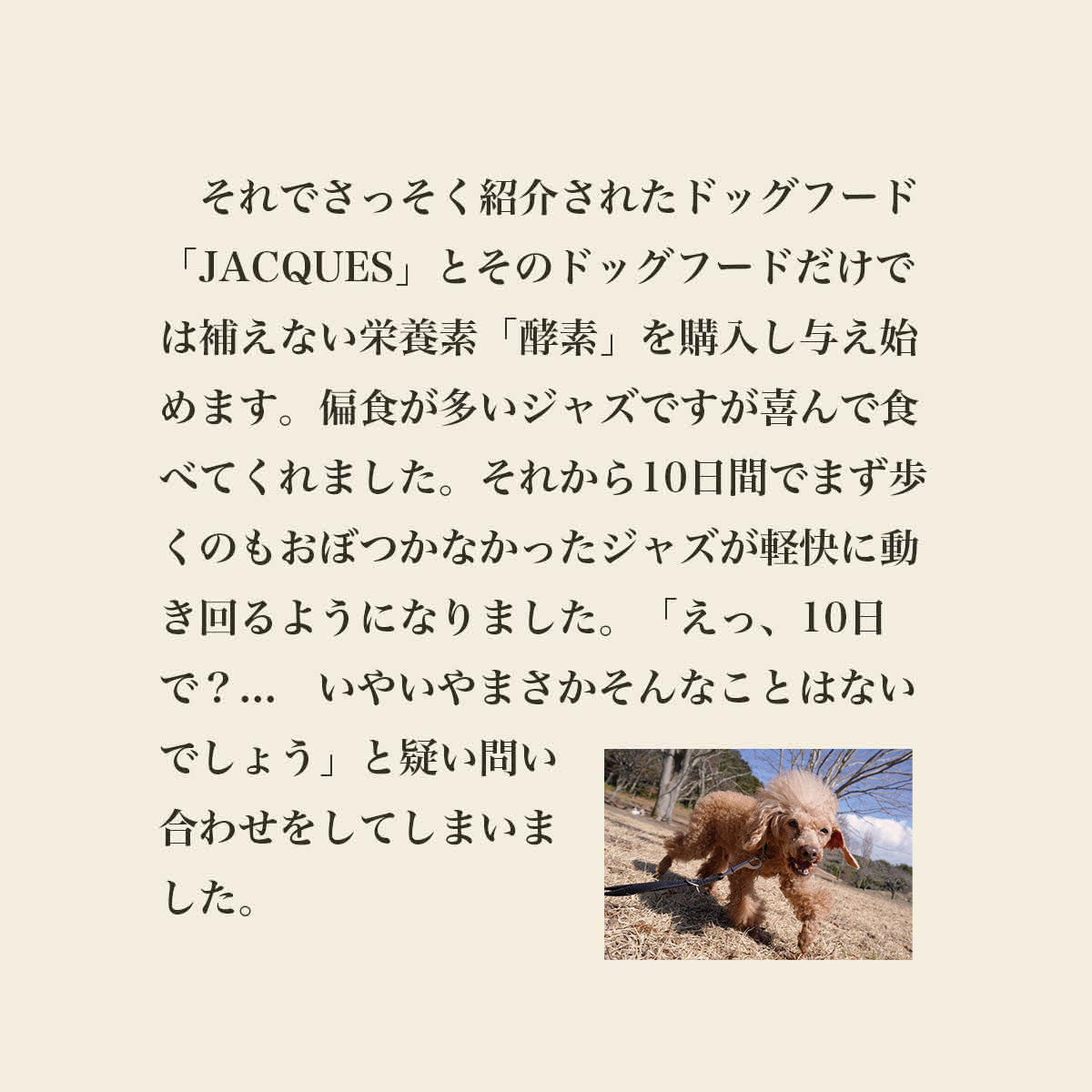 発酵野草ドッグフードウルス